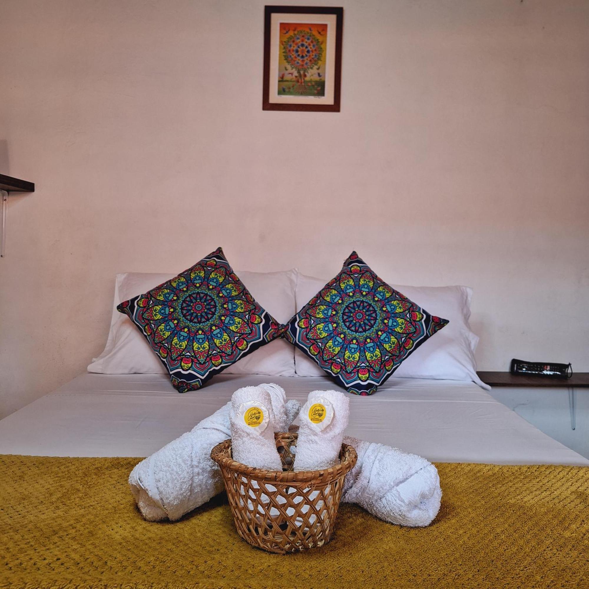 Hostal Colombian Gold サン・ヒル エクステリア 写真