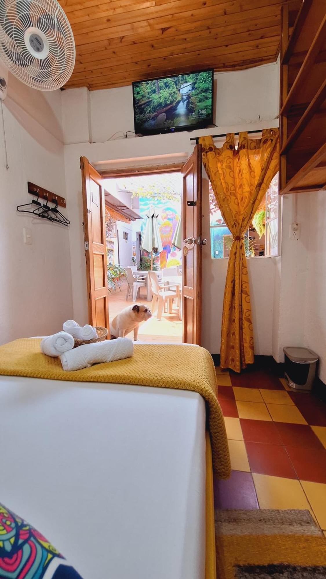 Hostal Colombian Gold サン・ヒル エクステリア 写真